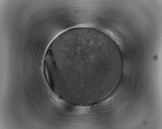 X0000097951276200804070956