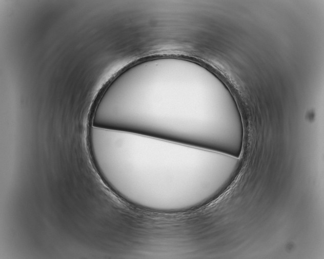 X0000097951277200804070956