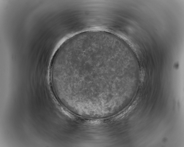 X0000097951278200804070956