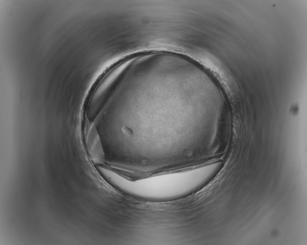 X0000097951280200804070956