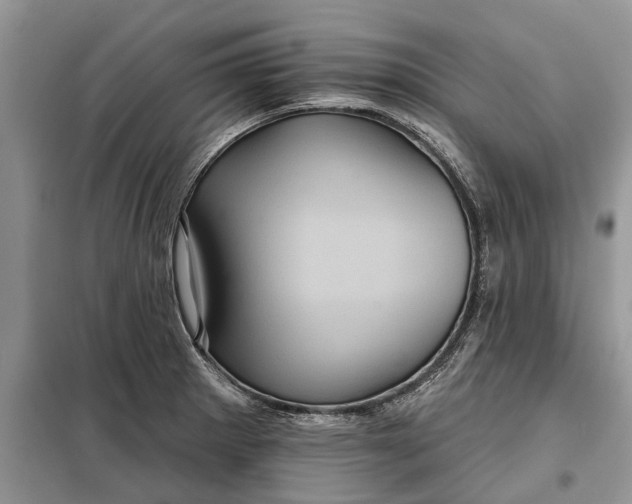 X0000097951281200804070956