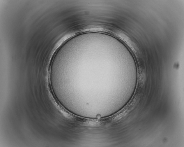 X0000097951282200804070956