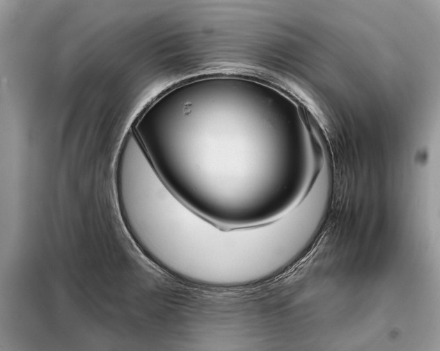 X0000097951283200804070956