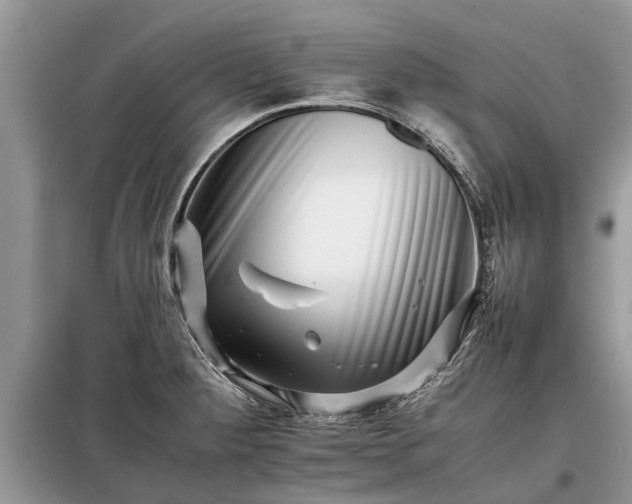 X0000097951284200804070955