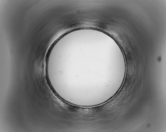 X0000097951286200804070955
