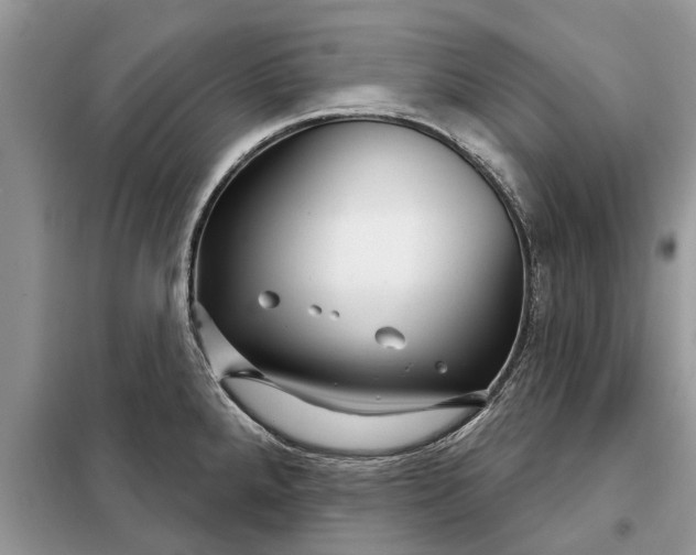 X0000097951288200804070955