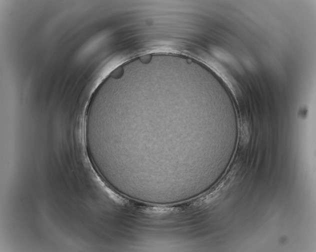 X0000097951290200804070955