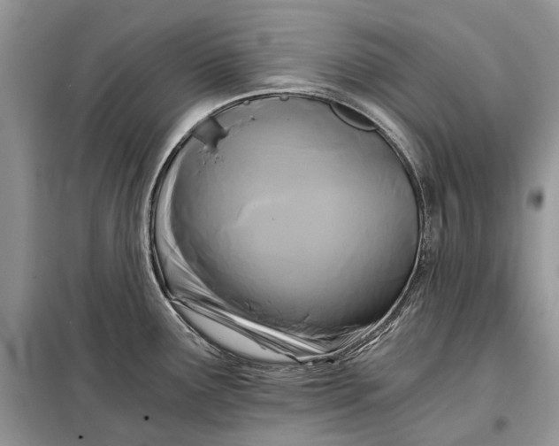 X0000097951291200804070955