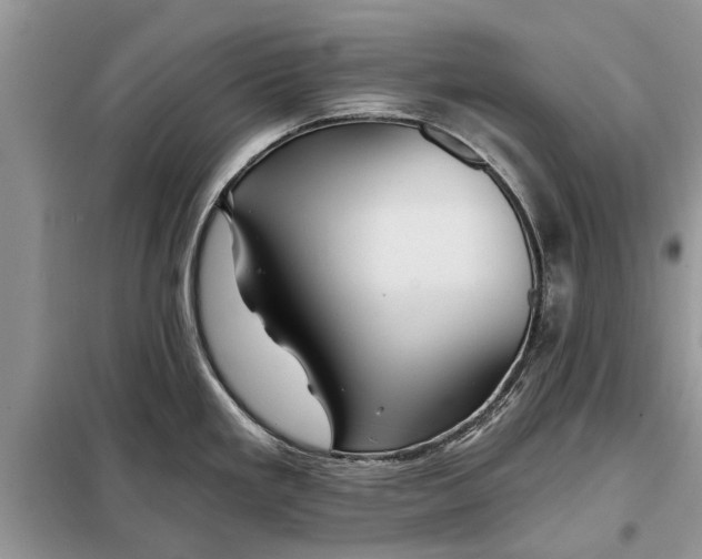 X0000097951293200804070955