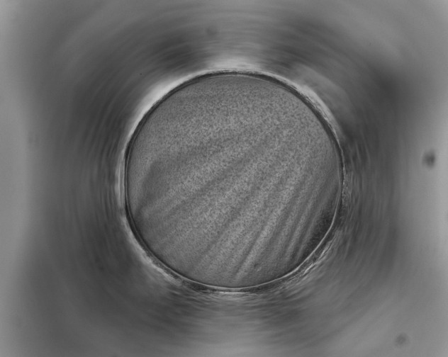 X0000097951295200804070955