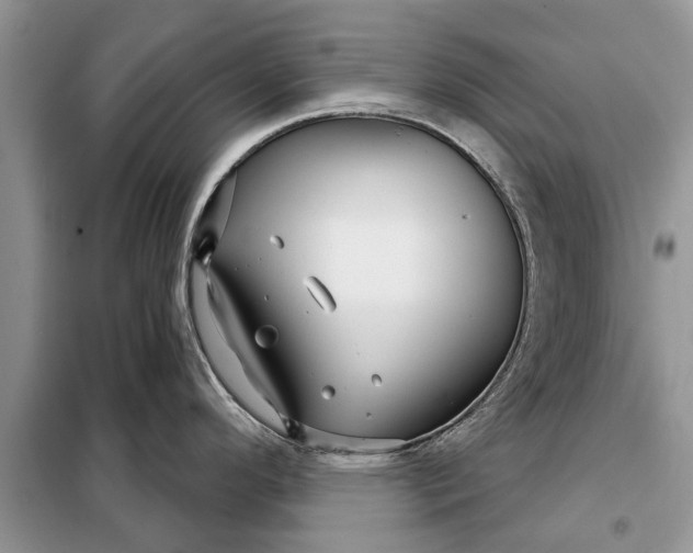 X0000097951296200804070955