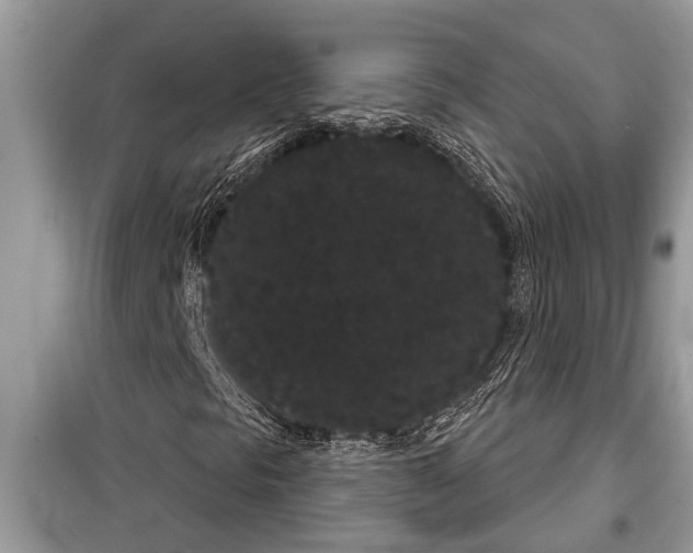 X0000097951297200804070954