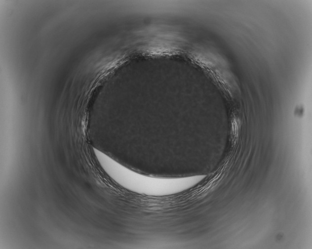 X0000097951300200804070954