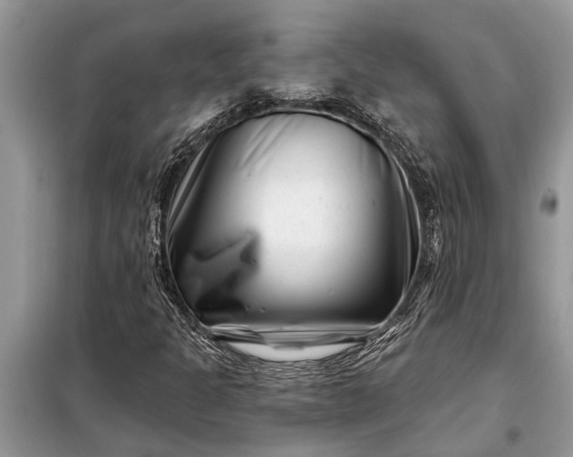 X0000097951301200804070954