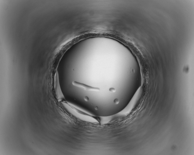 X0000097951304200804070954
