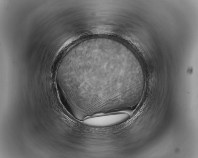 X0000097951306200804070954