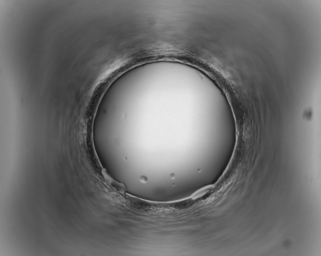 X0000097951309200804070954