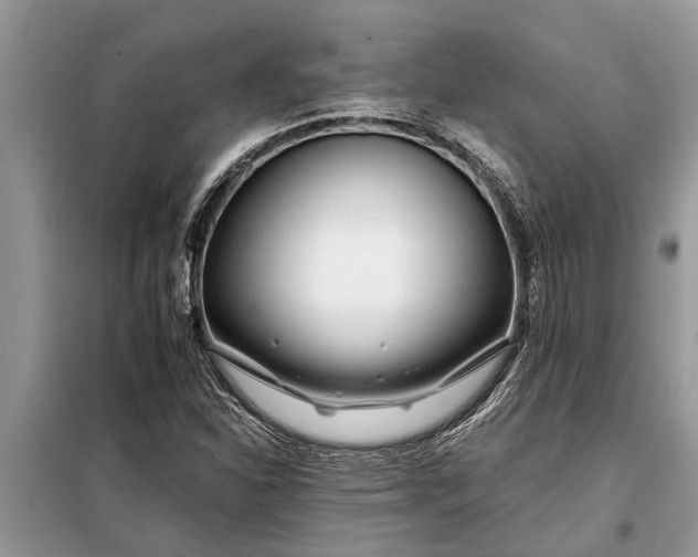 X0000097951310200804070955