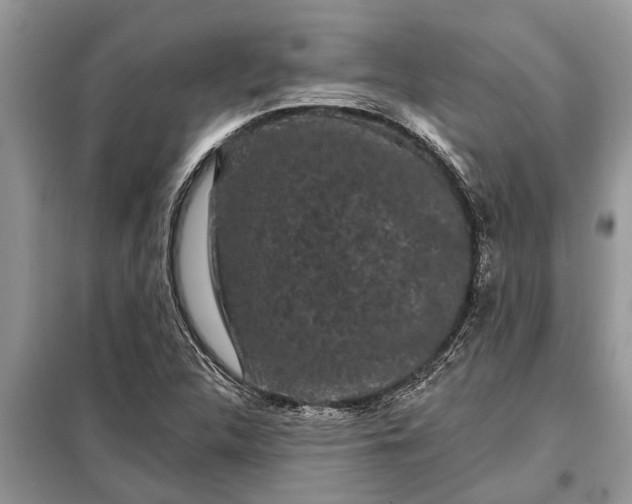 X0000097951312200804070955