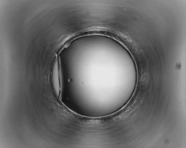 X0000097951313200804070955