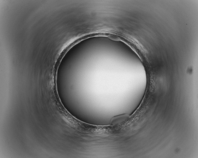 X0000097951316200804070955
