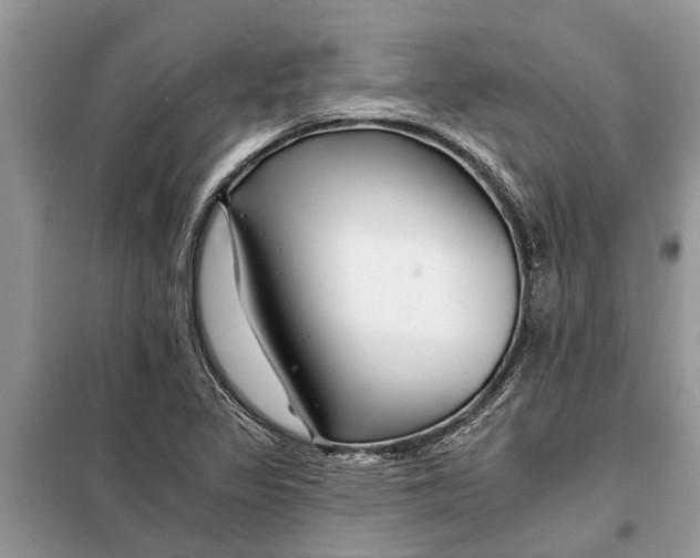 X0000097951317200804070955