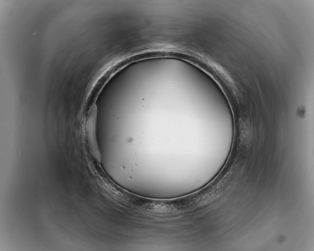 X0000097951318200804070955