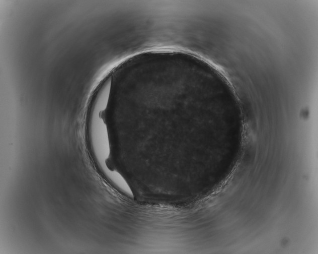 X0000097951319200804070955