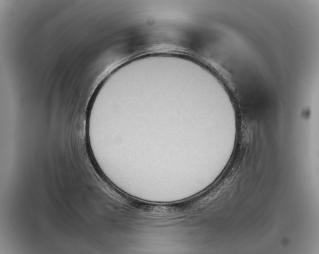 X0000097951322200804070955