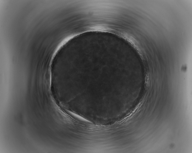 X0000097951323200804070955