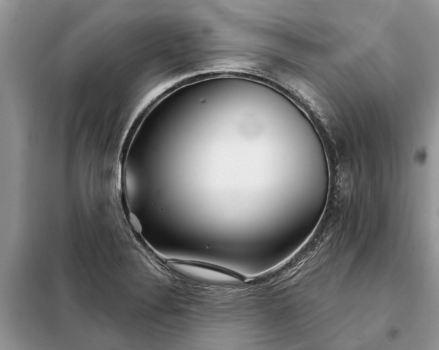 X0000097951324200804070955