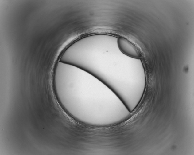 X0000097951325200804070955