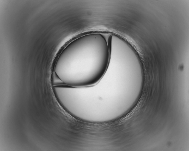 X0000097951326200804070955