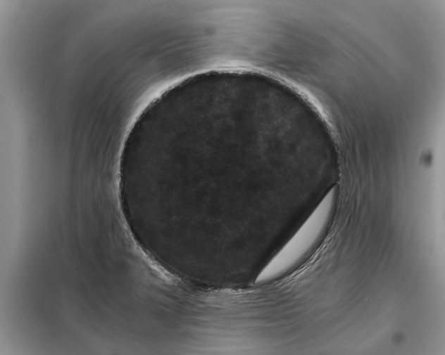 X0000097951327200804070955