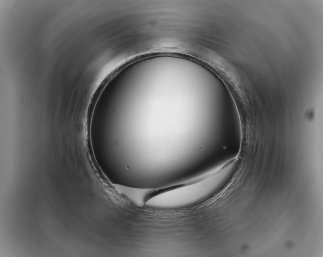 X0000097951328200804070955