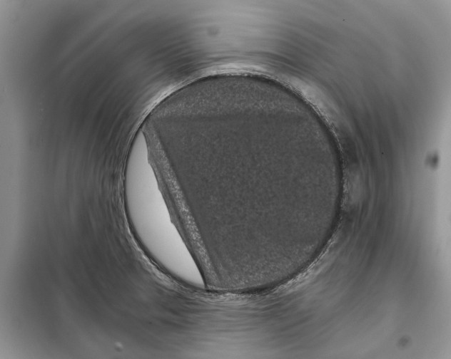 X0000097951329200804070955
