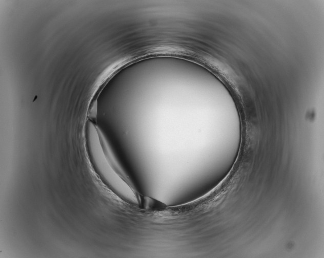 X0000097951330200804070955