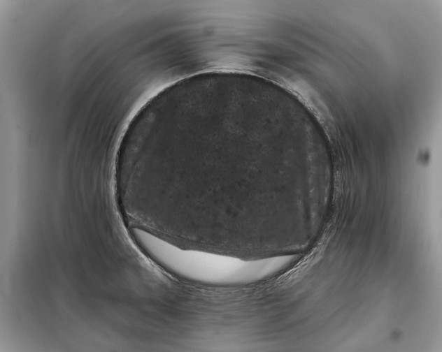 X0000097951331200804070955
