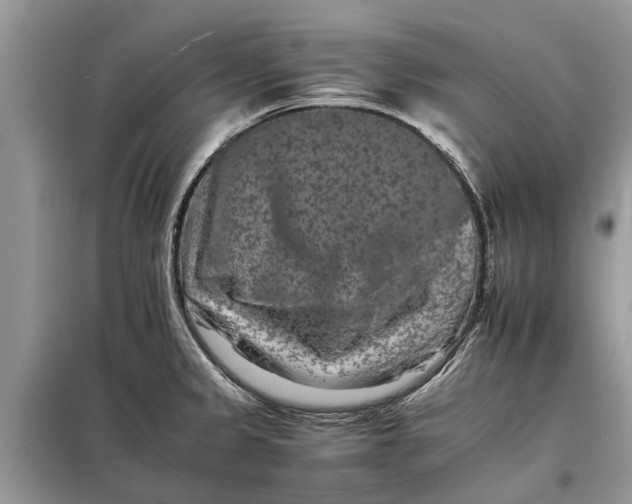 X0000097951333200804070955