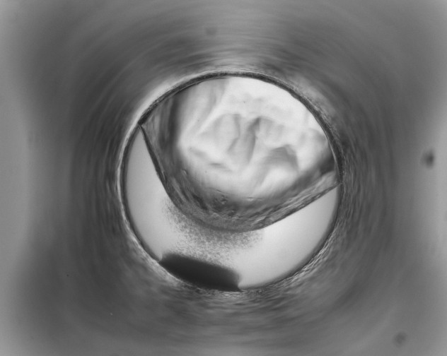 X0000097951334200804070955