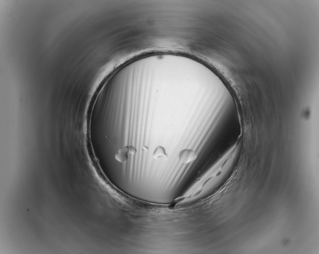 X0000097951335200804070955