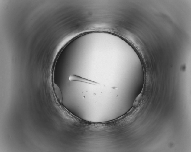 X0000097951336200804070955
