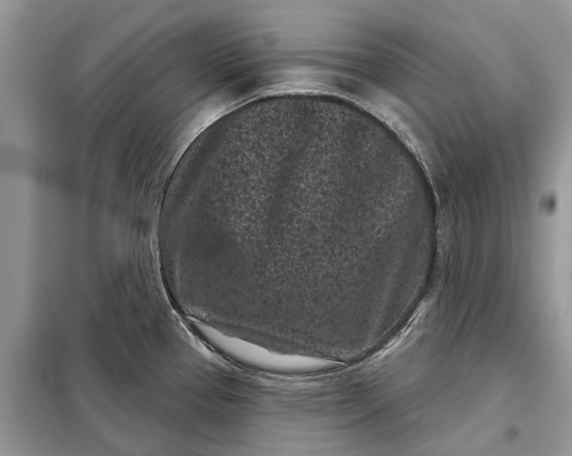 X0000097951337200804070955