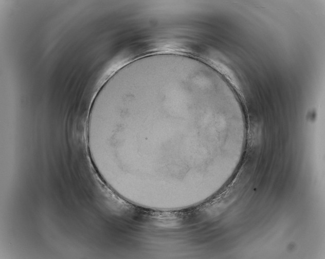 X0000097951338200804070955