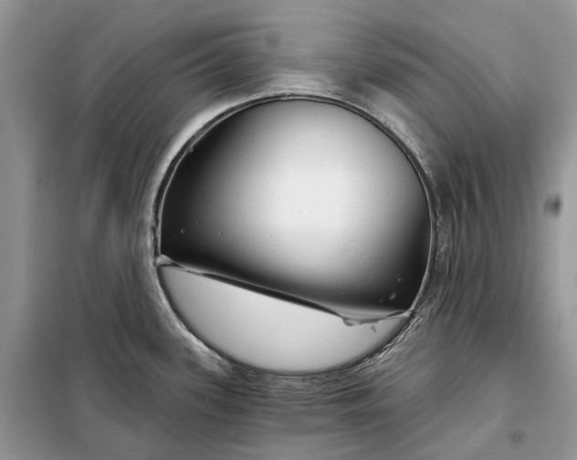 X0000097951339200804070955