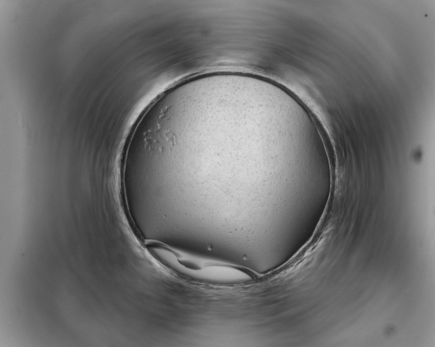 X0000097951341200804070955