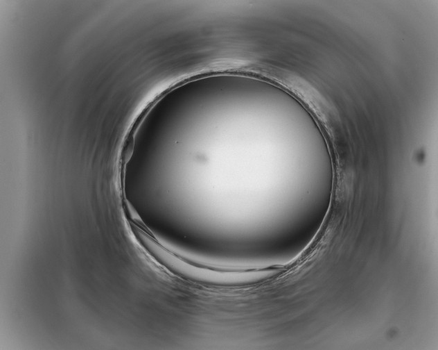 X0000097951342200804070955