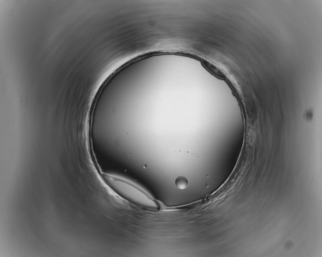 X0000097951343200804070955