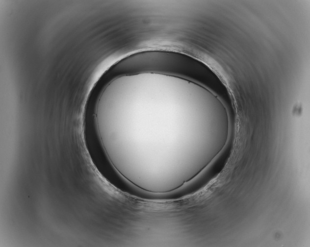 X0000097951344200804070955