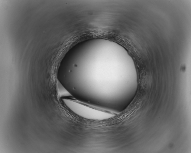 X0000097951345200804070954